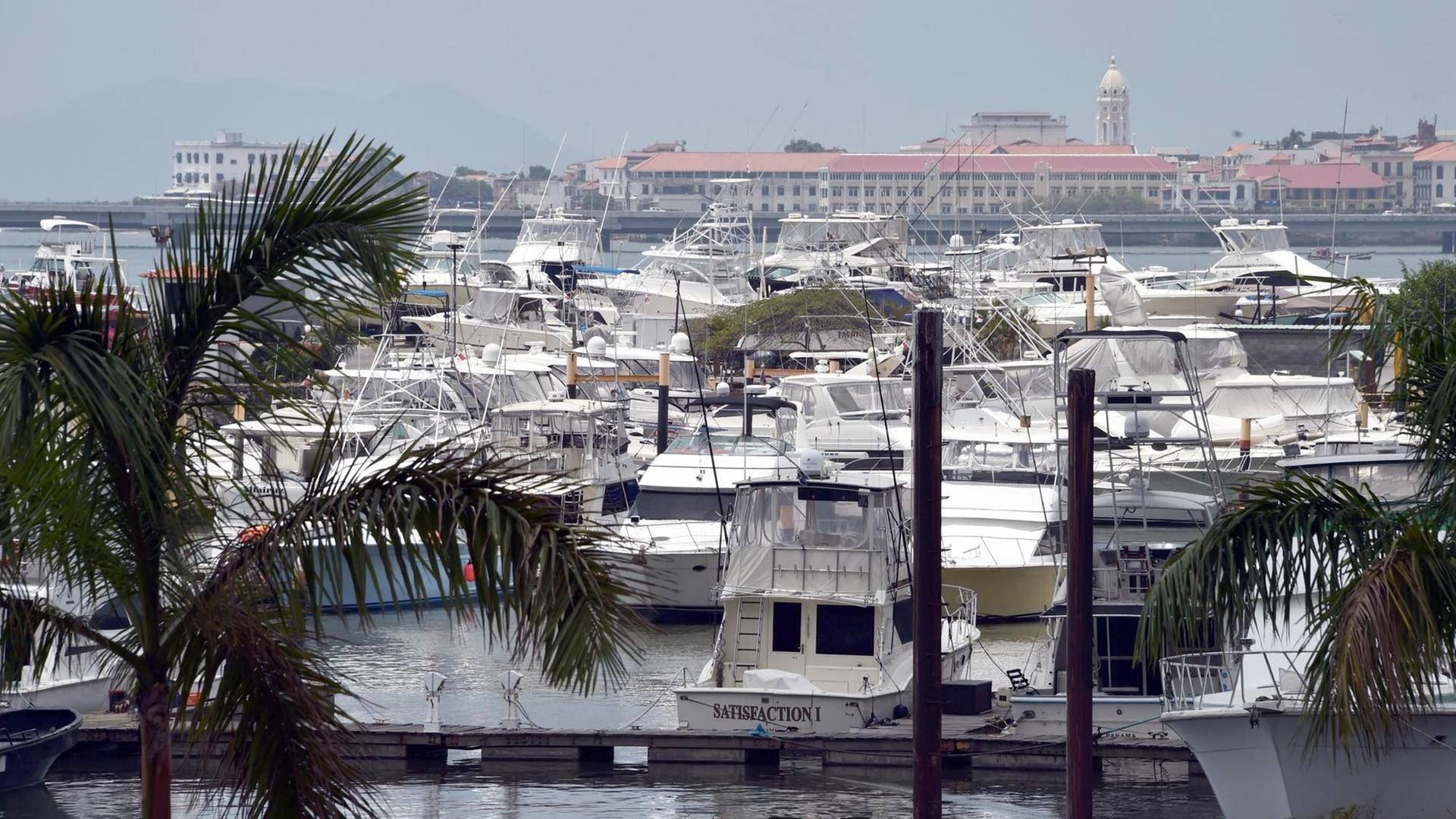 Blick auf Palmen und Schiffe im Hafen von Panama Stadt