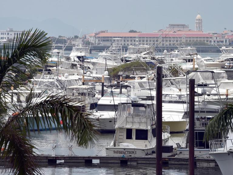 Blick auf Palmen und Schiffe im Hafen von Panama Stadt