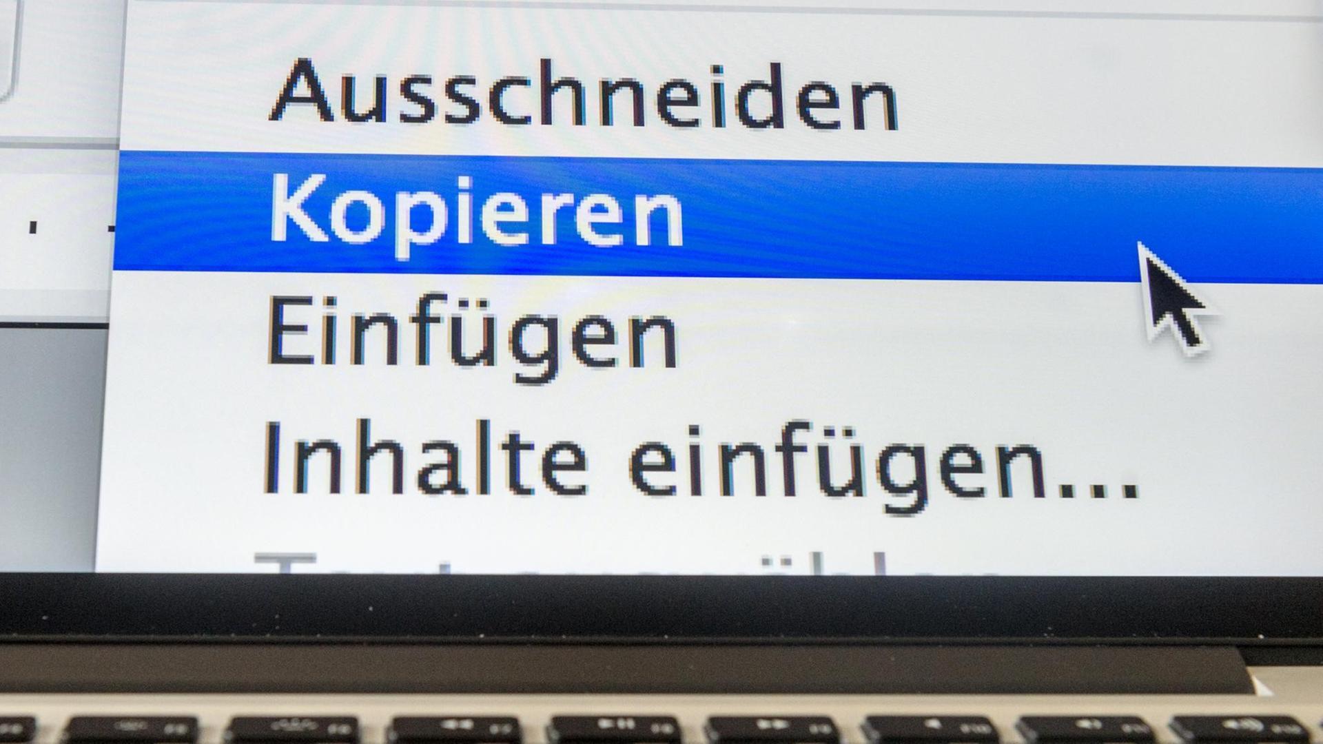 Bei Fotofälschungen wird das Urheberrecht umgangen Bei Fotofälschungen wird das Urheberrecht umgangen