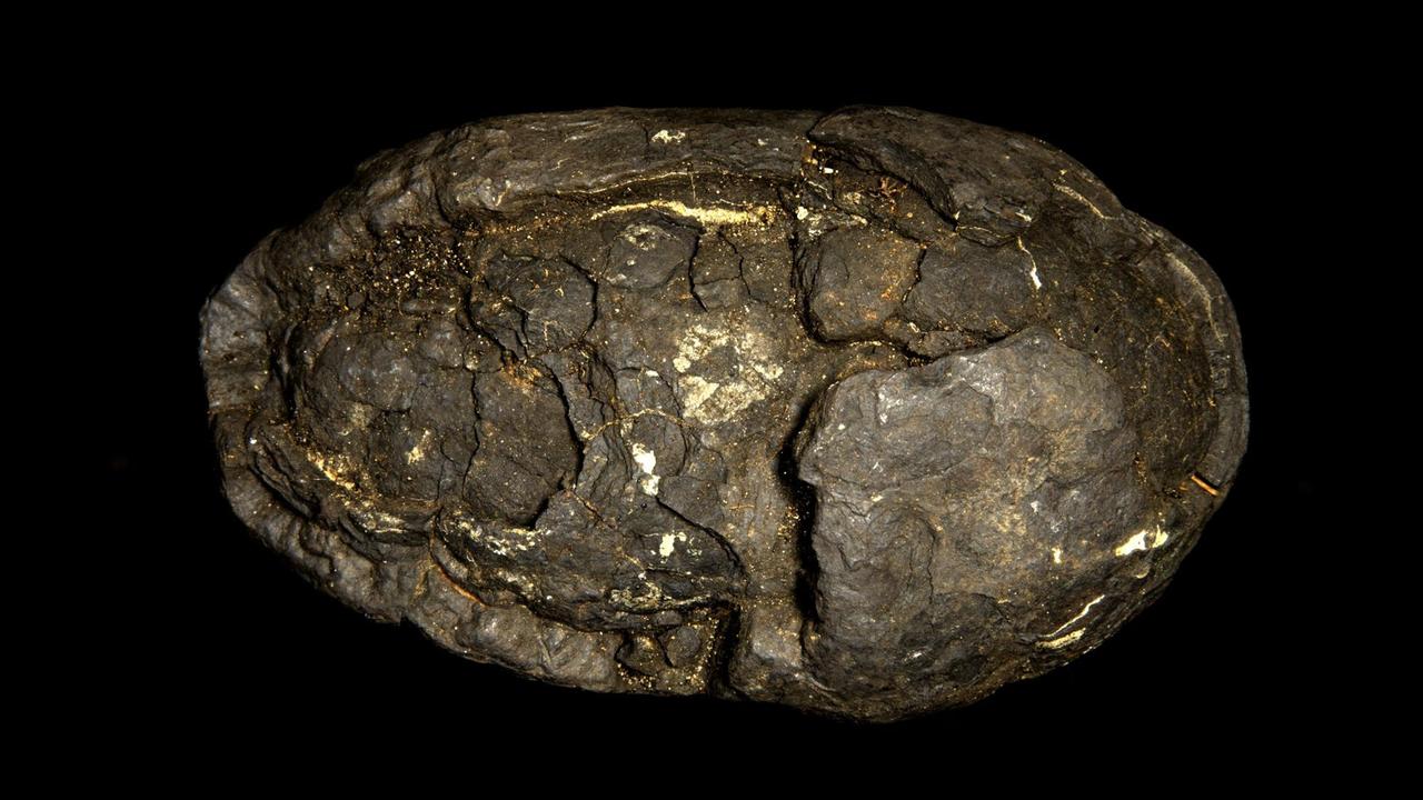 Eine dunkle, mit metallischen Adern durchzogen Manganknolle aus der Tiefsee im Atlantik. Eine dunkle, mit metallischen Adern durchzogen Manganknolle aus der Tiefsee im Atlantik.
