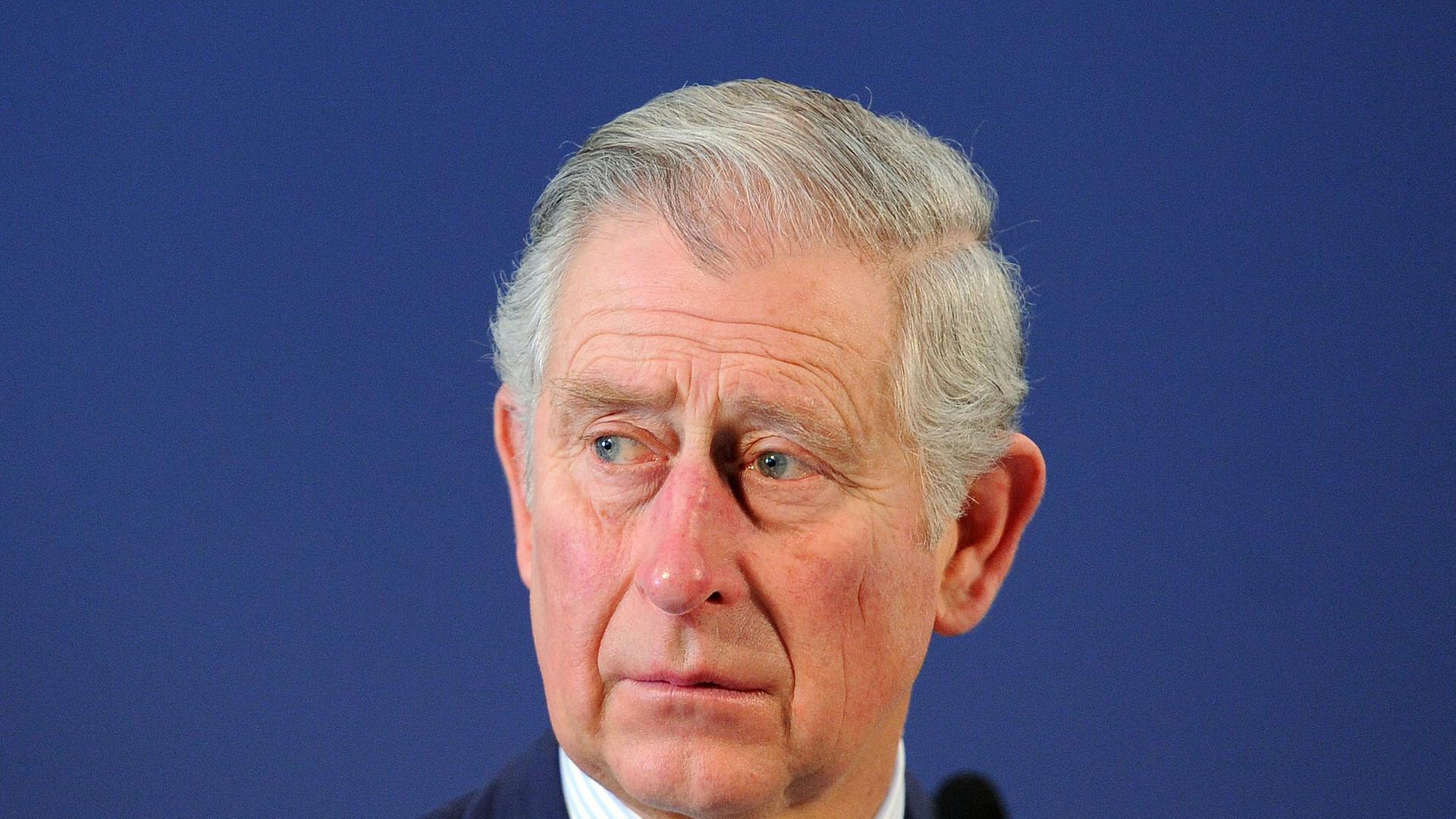 Der britische Thronfolger Prinz Charles während der Wildlife Trade Conference am 13.2.2014 in London Der britische Thronfolger Prinz Charles während der Wildlife Trade Conference am 13.2.2014 in London