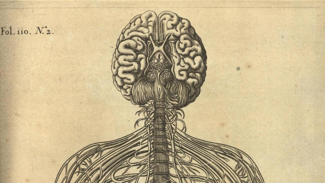 Ein Holzschnitt von 1662 aus "De homine", der Abhandlung über den Menschen von Rene Descartes zeigt als Illustration Körper und Geist des Menschen. Ein Holzschnitt von 1662 aus "De homine", der Abhandlung über den Menschen von Rene Descartes zeigt als Illustration Körper und Geist des Menschen.