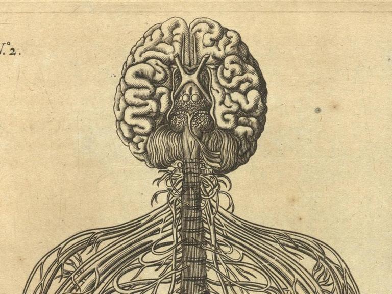 Ein Holzschnitt von 1662 aus "De homine", der Abhandlung über den Menschen von Rene Descartes zeigt als Illustration Körper und Geist des Menschen.