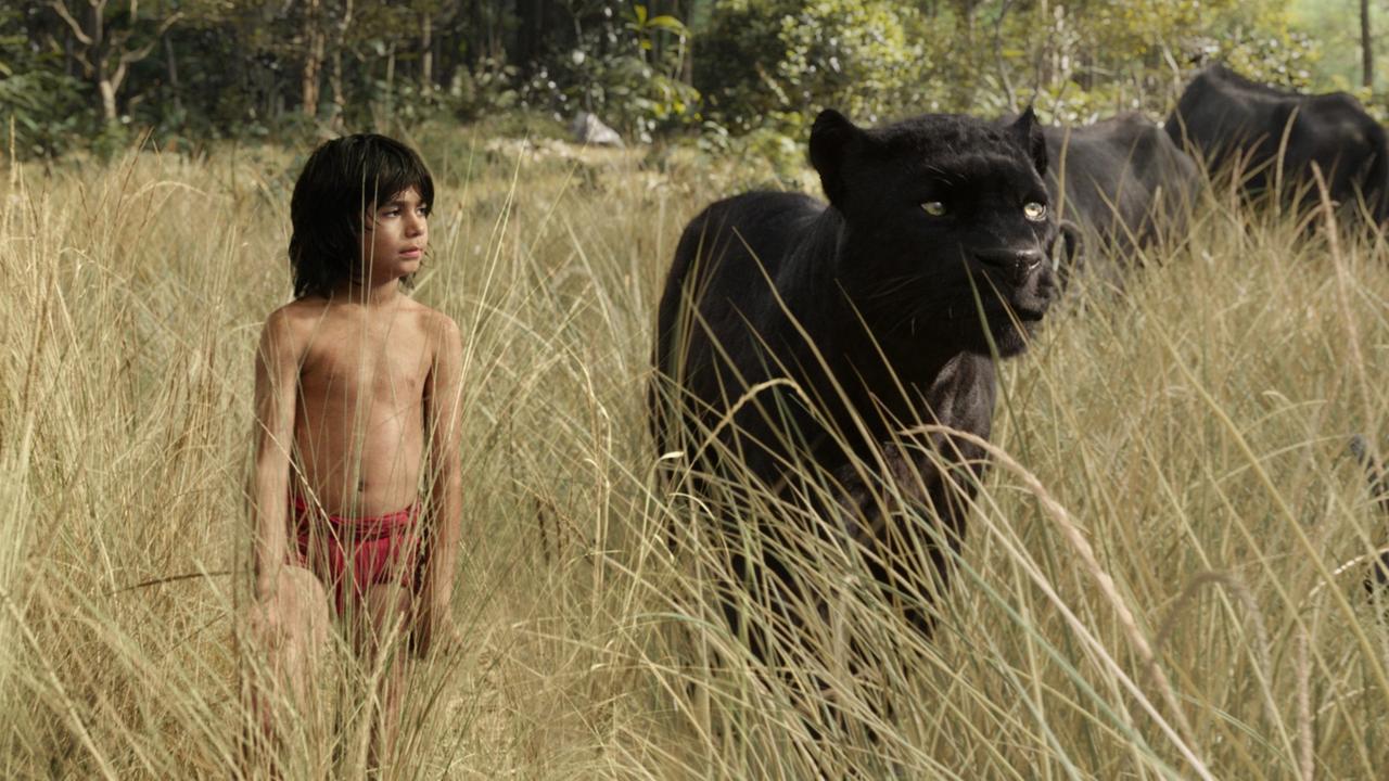 Mowgli (gespielt von Neel Sethi) und Bagheera aus dem Film "The Jungle Book"