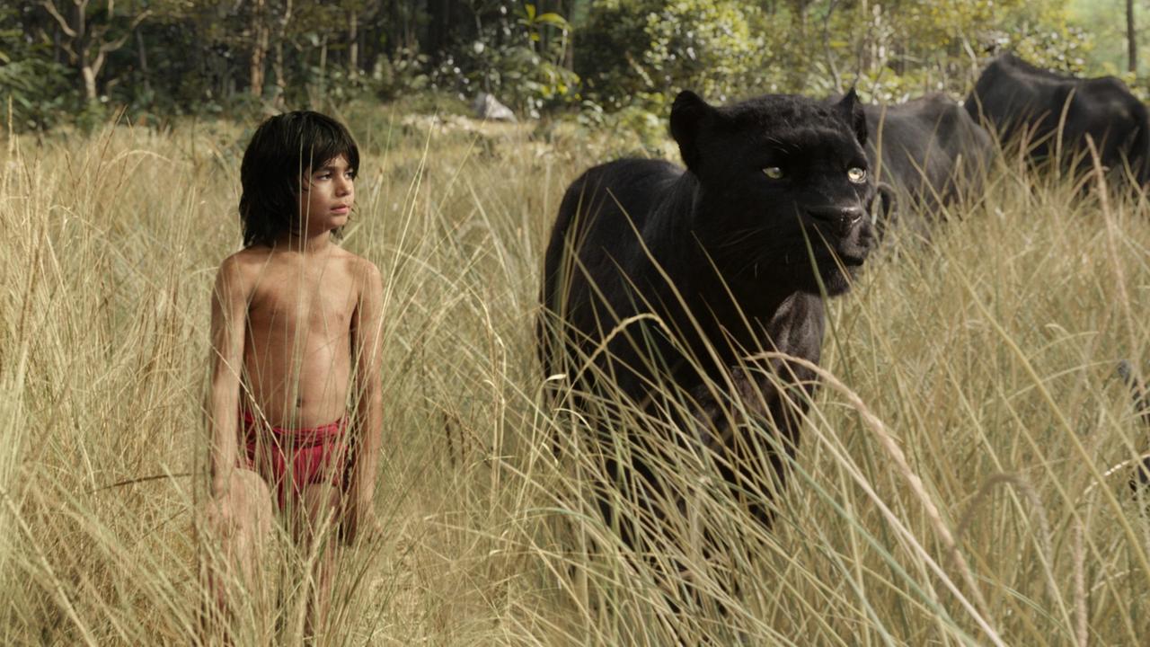 Mowgli (gespielt von Neel Sethi) und Bagheera aus dem Film "The Jungle Book" Mowgli (gespielt von Neel Sethi) und Bagheera aus dem Film "The Jungle Book"