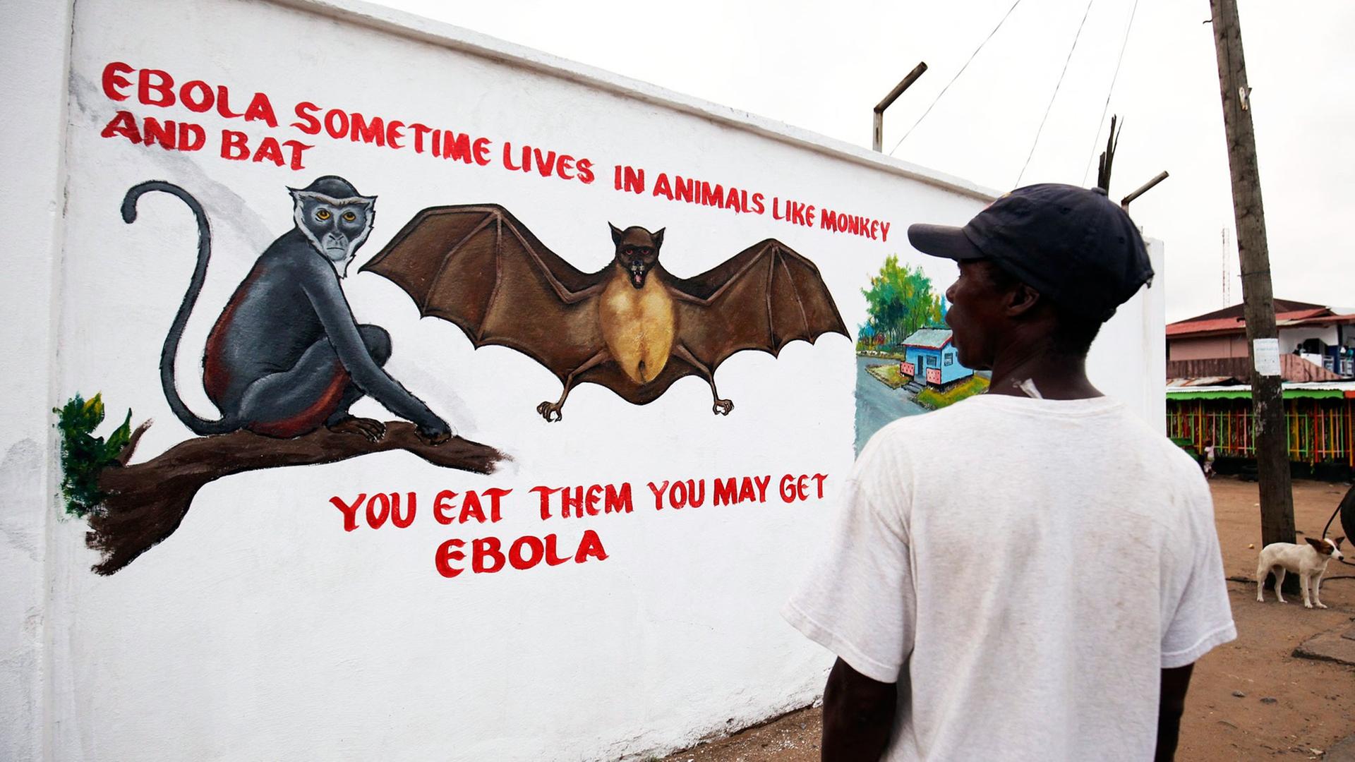 Wandmalerei warnt in Liberia vor Ebola. Wandmalerei warnt in Liberia vor Ebola.