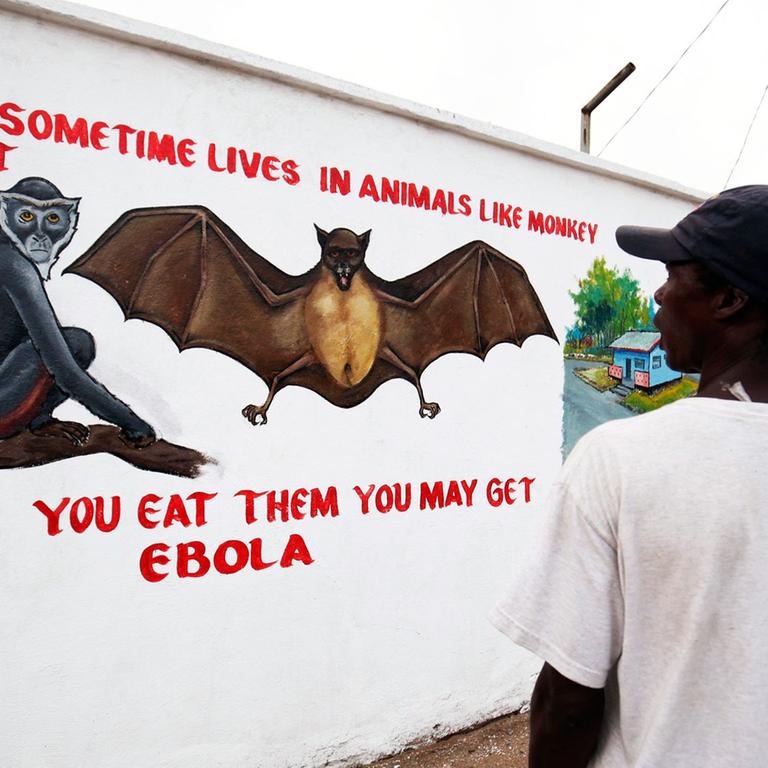 Wandmalerei warnt in Liberia vor Ebola. 