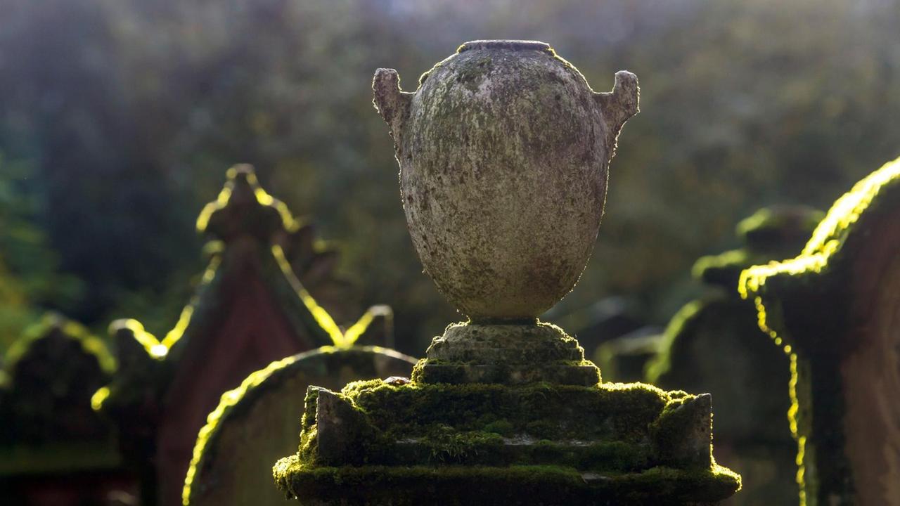 Eine steinerne Urne steht auf einem moosbewachsenen Grabstein. Im Hinte...</p>

                        <a href=