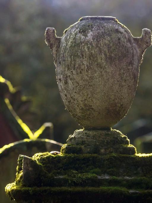 Eine steinerne Urne steht auf einem moosbewachsenen Grabstein. Im Hintergrund sind weitere moosbewachsene Grabsteine erkennbar.