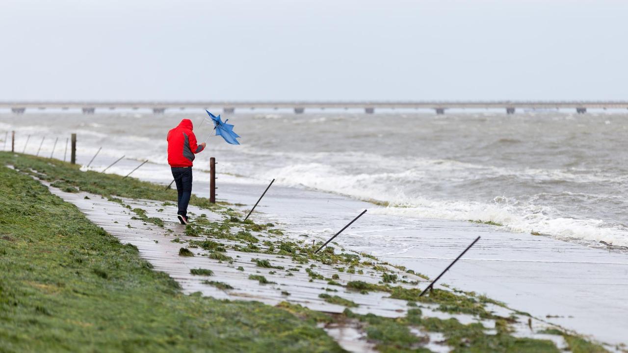 Ein Spaziergänger läuft an der Nordseeküste bei Hooksiel (Niedersachsen) am Deich entlang und kämpft dabei gegen den Wind an.