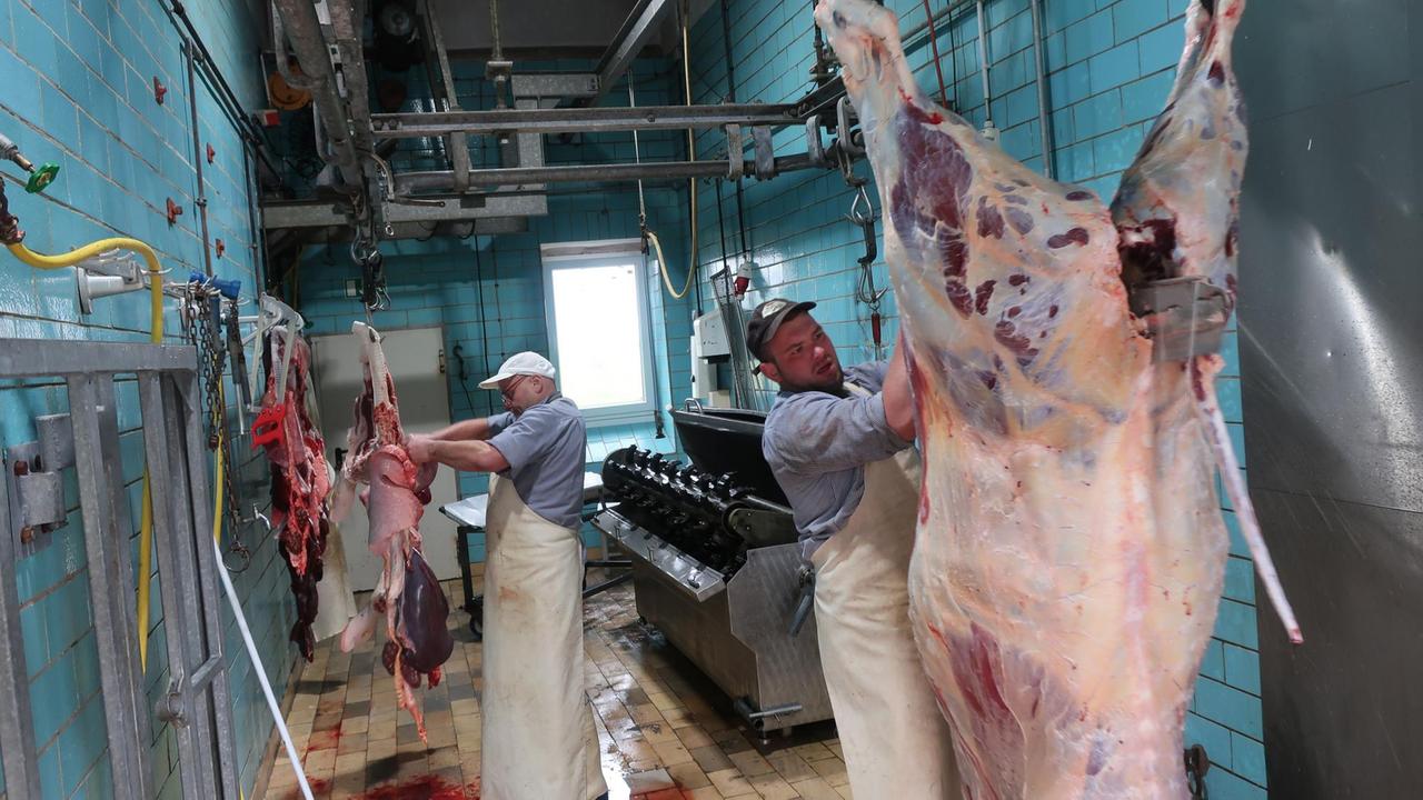 Blick in den Raum der Schlachtung - zwei Männer zerlegen Schweine