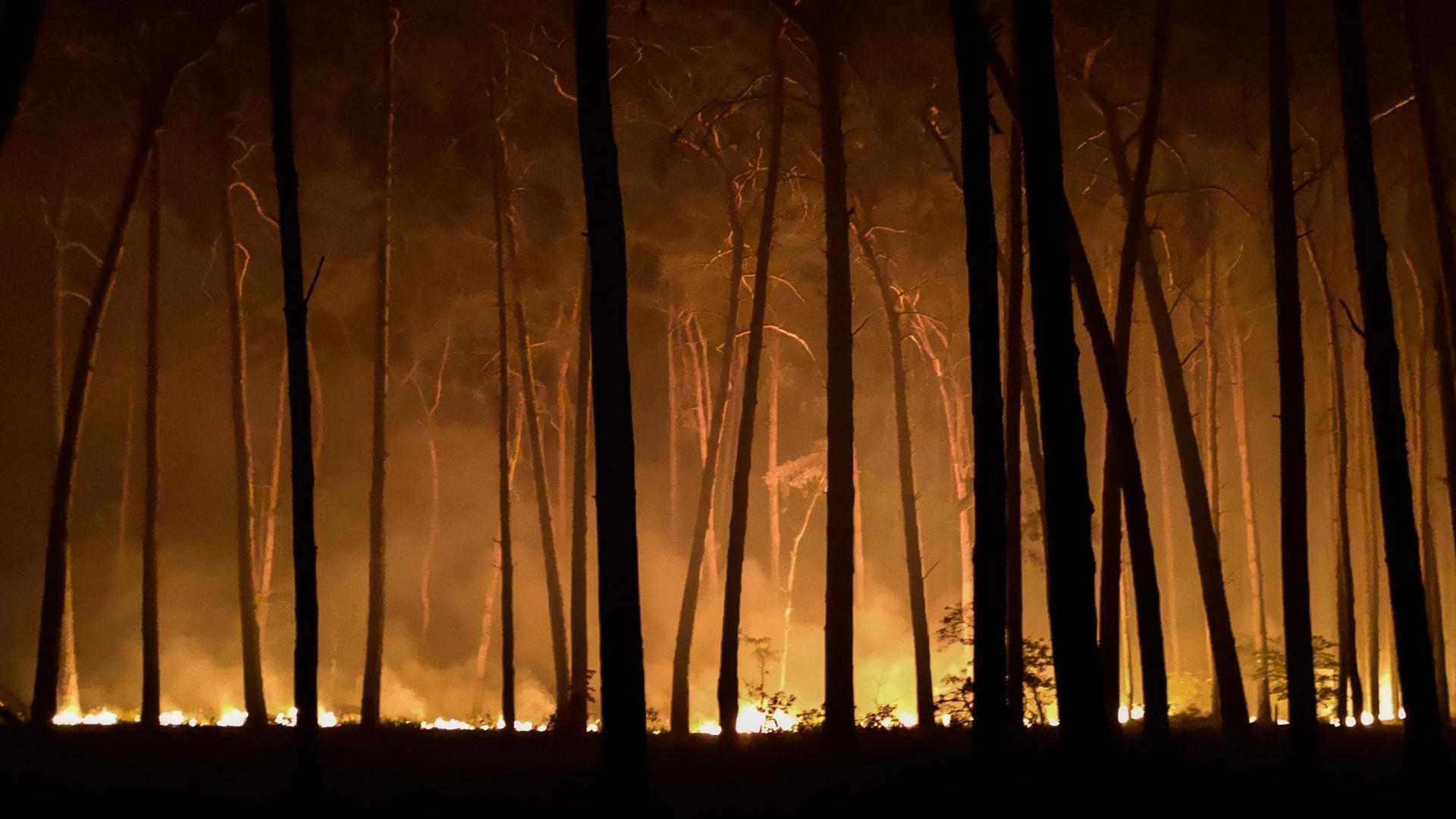 Brandenburg, Jüterbog: Ein Waldbrand in der Nähe von Jüterbog. In Brandenburg waren seit Beginn der Woche mehrere Waldbrände ausgebrochen. Brandenburg, Jüterbog: Ein Waldbrand in der Nähe von Jüterbog. In Brandenburg waren seit Beginn der Woche mehrere Waldbrände ausgebrochen.