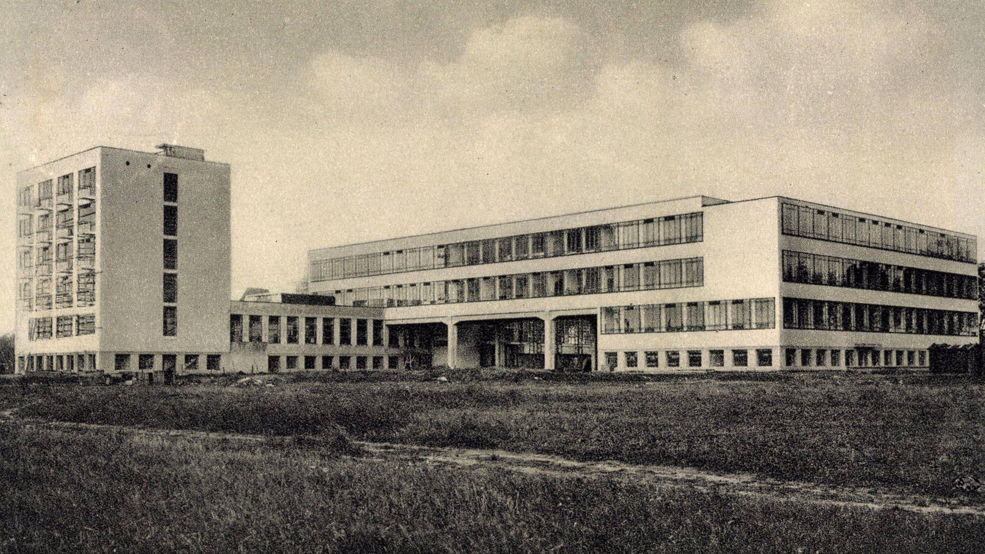 Das Bauhaus in Dessau 1928
