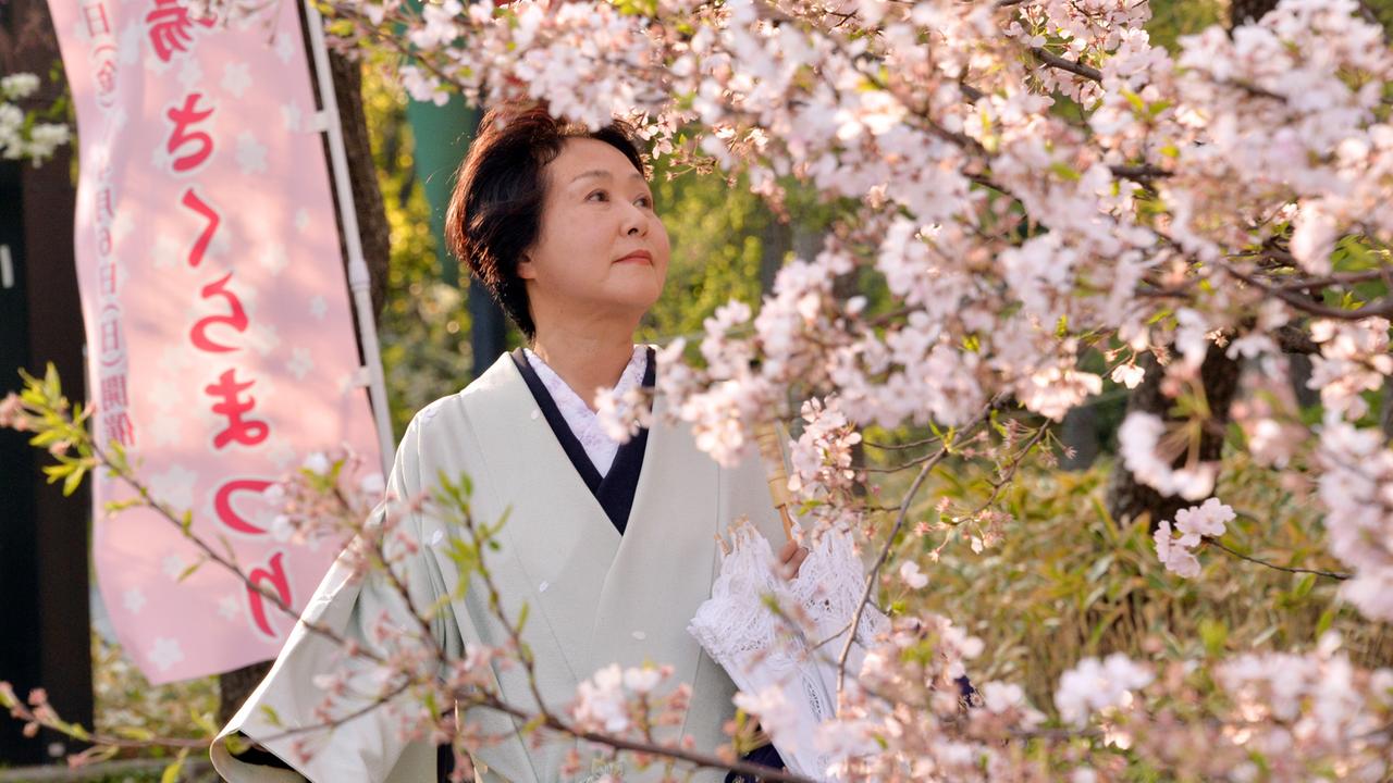Eine Japanerin im Kimono zwischen Kirschblüten