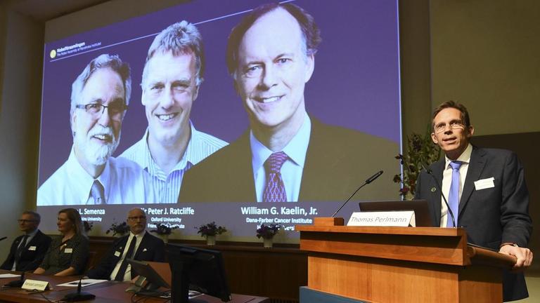 Thomas Perlmann vom Nobelpreis-Komitee stellt in Stockholm die Gewinner des diesjährigen Nobelpreises für Chemie vor, deren Fotos im Hintergrund zu sehen sind: William Kaelin, Gregg Semenza und Peter Ratcliffe Thomas Perlmann vom Nobelpreis-Komitee stellt in Stockholm die Gewinner des diesjährigen Nobelpreises für Chemie vor, deren Fotos im Hintergrund zu sehen sind: William Kaelin, Gregg Semenza und Peter Ratcliffe