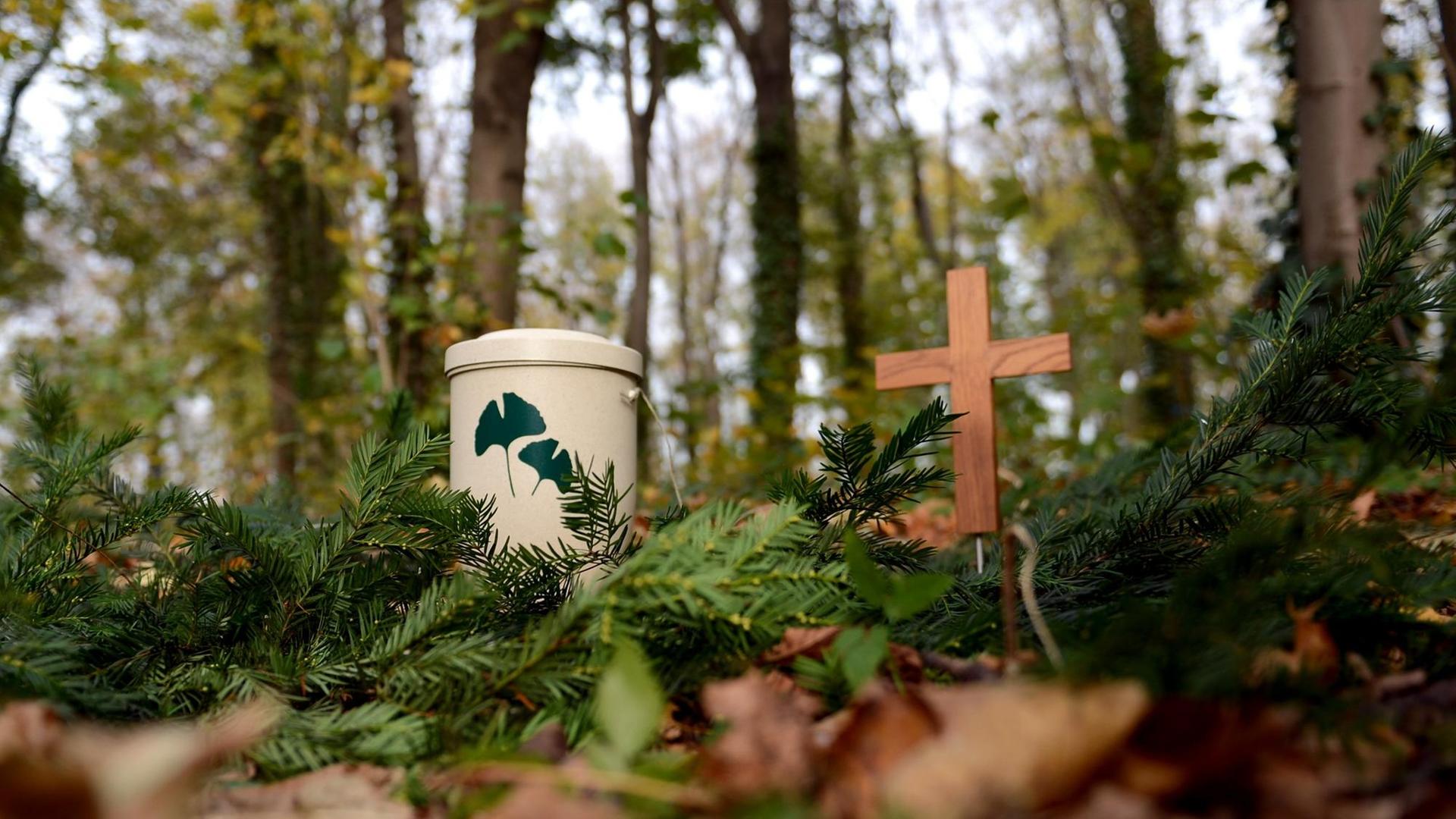 Eine Musterurne steht in einem Friedwald auf dem Waldboden neben einem Holzkreuz. Eine Musterurne steht in einem Friedwald auf dem Waldboden neben einem Holzkreuz.