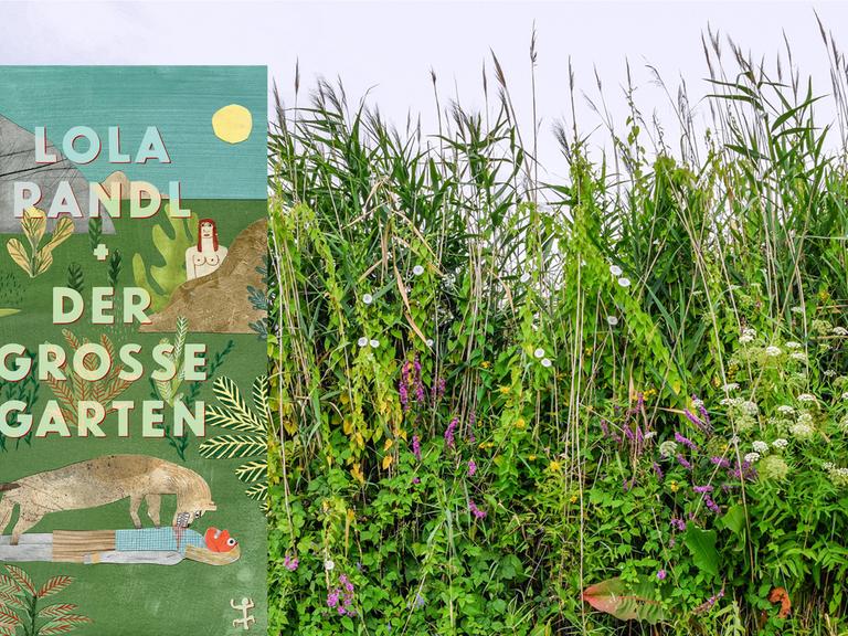 In Lola Randls Roman "Der große Garten" geht es um Neurosen und Gemüse.