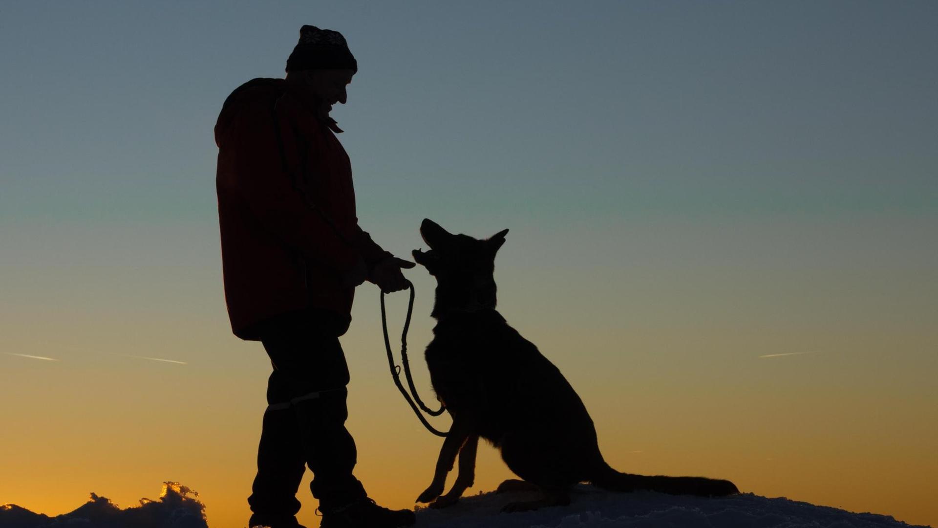 Ein Mann mit Hund im Schnee bei Sonnenuntergang. Ein Mann mit Hund im Schnee bei Sonnenuntergang.