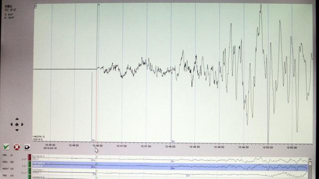 Ein Bildschirm mit gemessenen Daten eines Erdbebens.