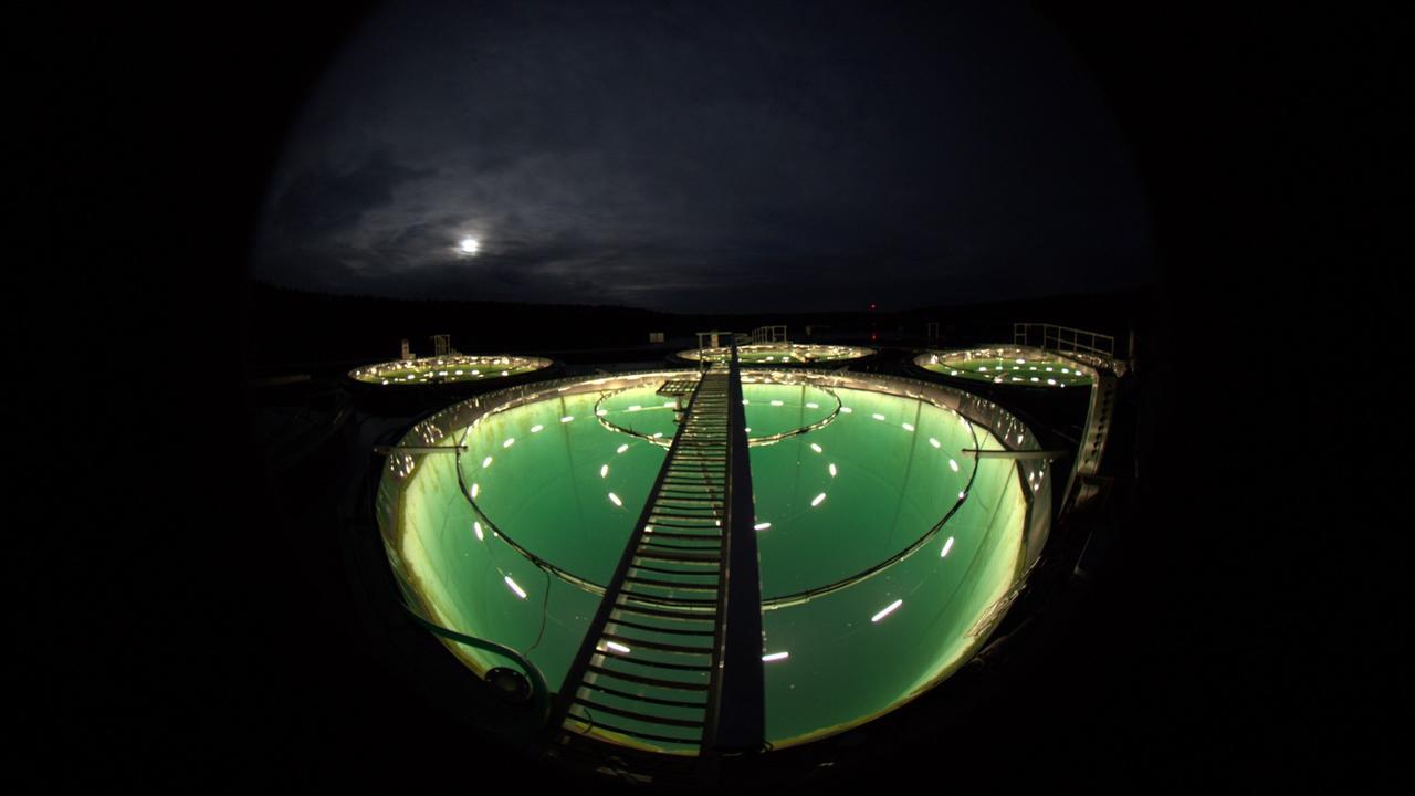 Das Seelabor auf dem Stechlinsee bei Nacht Das Seelabor auf dem Stechlinsee bei Nacht