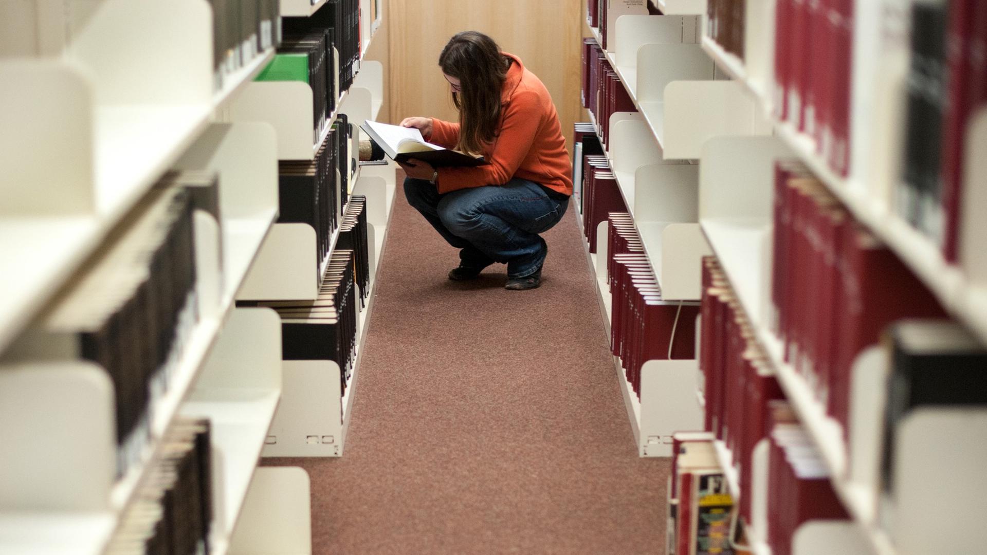 Eine Studentin sucht am 07.11.2012 ein Buch in der Bibliothek der Universität Hildesheim.