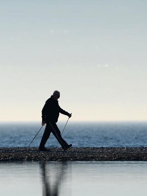 Die Nordic-Walking-Gruppe "Über 70 Jahre" aus Langenargen läuft am 07.01.2014 in Langenargen (Baden-Württemberg) am Ufer des Bodensees entlang.