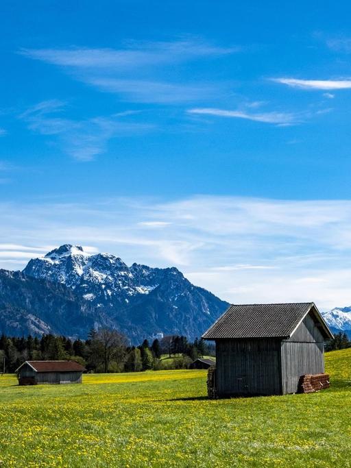 Ostallgäu