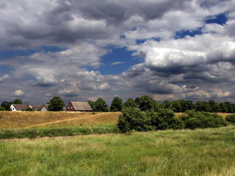 Die Landschaft mit ihrer üppigen Vegetation an der Lippe bei Dorsten-Hervest.