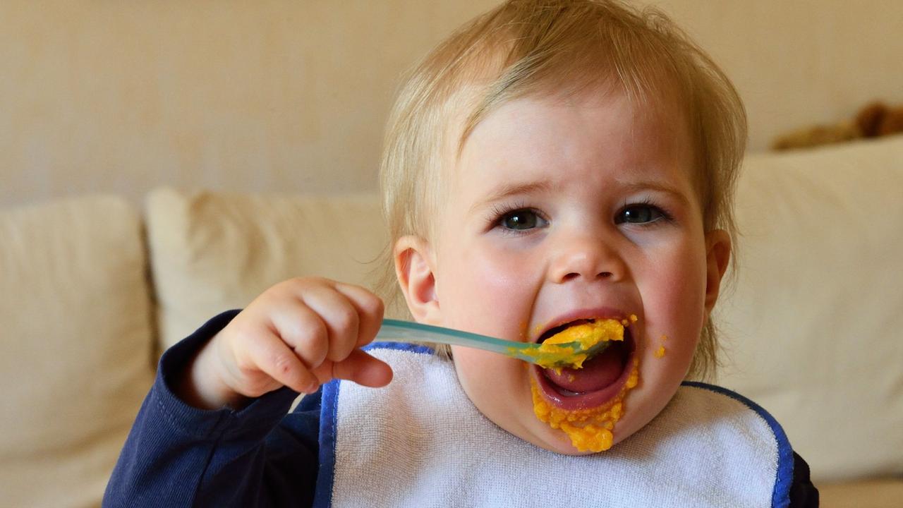 Ein kleines Mädchen löffelt ohne Hilfe allein und mit großem Appetit seinen Möhrenbre aus einer Plastikschüsseli. Ein kleines Mädchen löffelt ohne Hilfe allein und mit großem Appetit seinen Möhrenbre aus einer Plastikschüsseli.