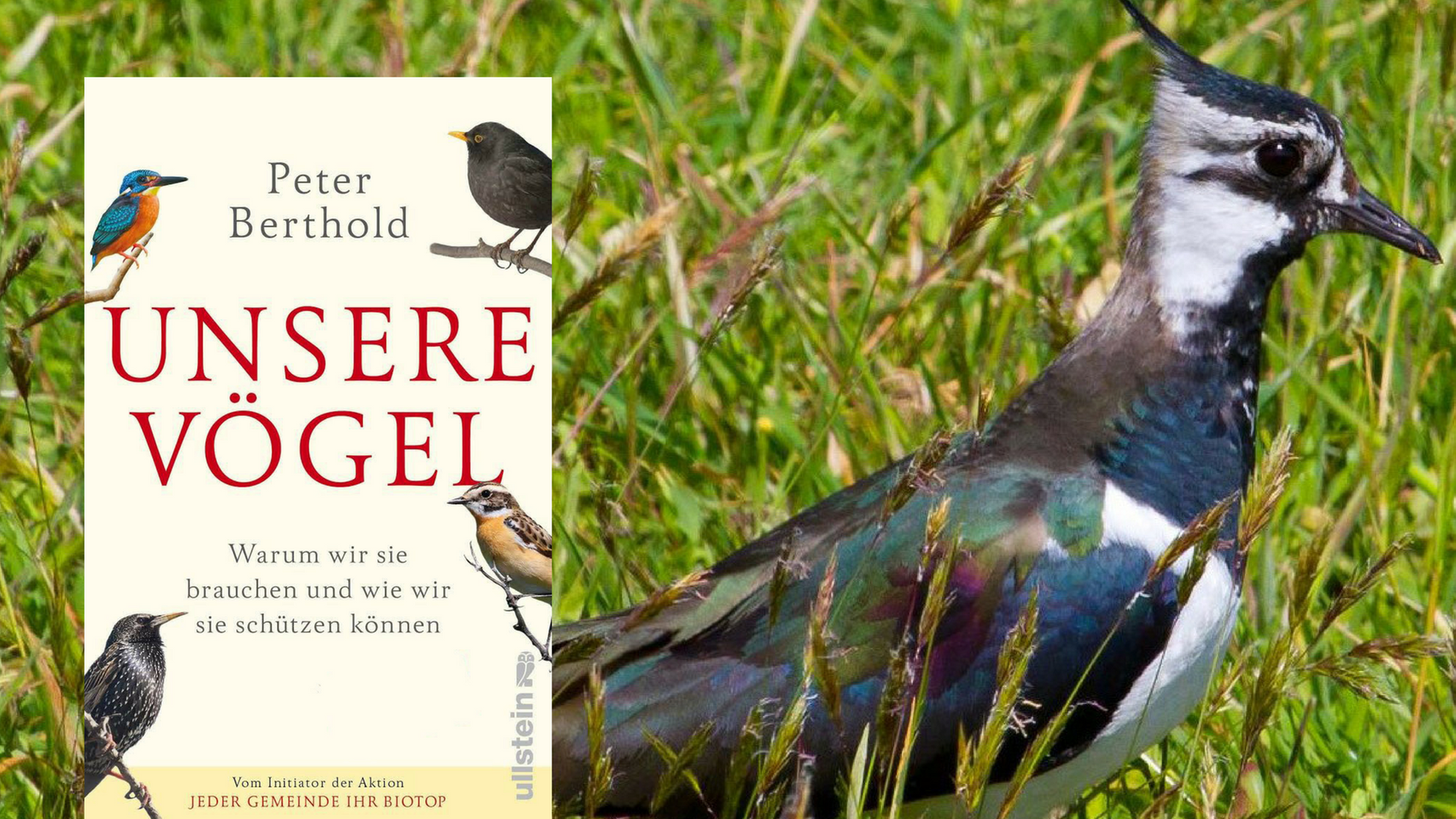 Peter Berthold: "Unsere Vögel" Peter Berthold: "Unsere Vögel"