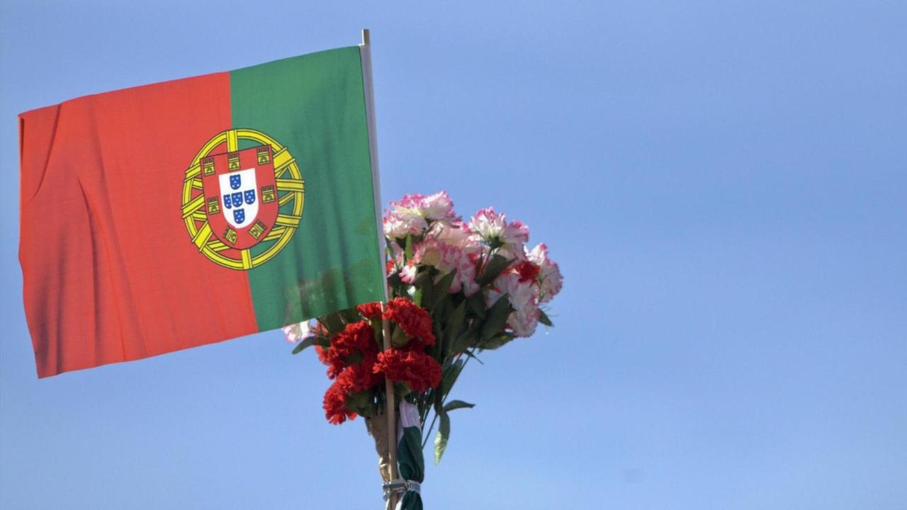 Nelken und eine portugiesische Flagge zum Gedenken an die Nelkenrevolution Nelken und eine portugiesische Flagge zum Gedenken an die Nelkenrevolution