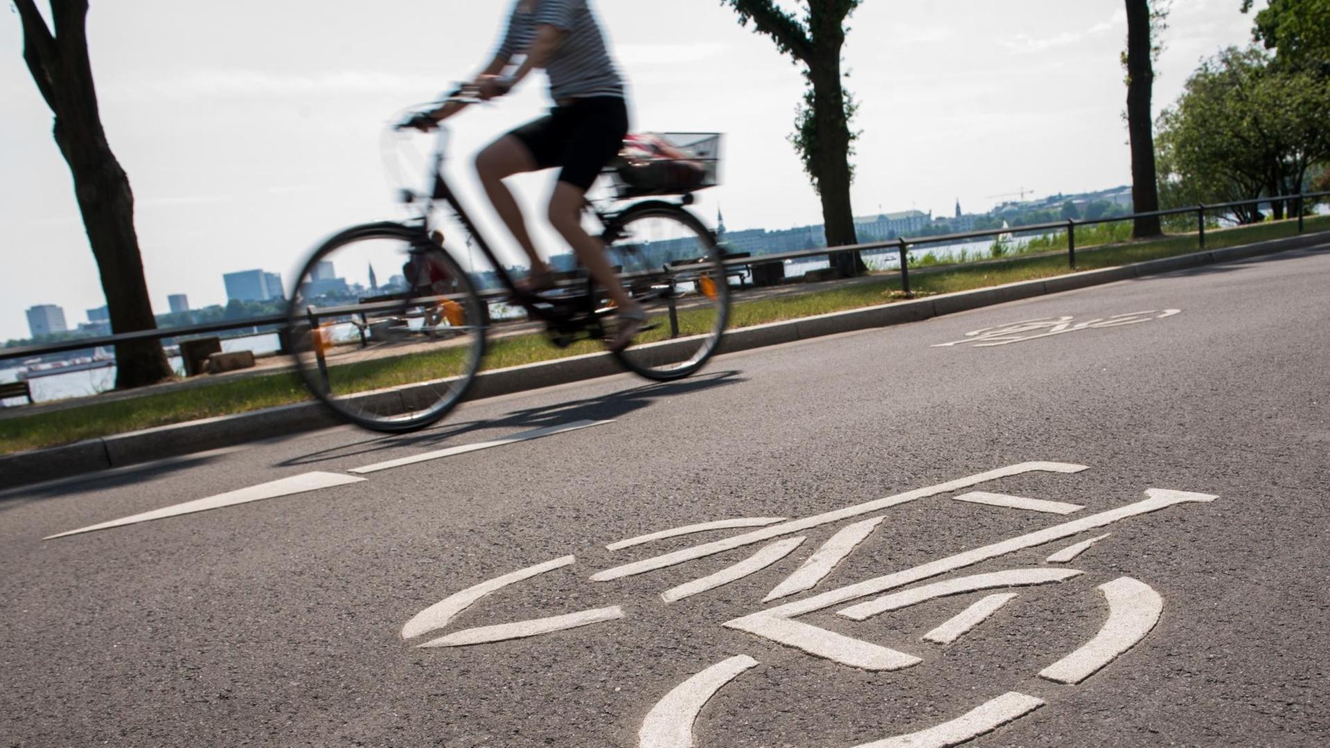 Eine Fahrradfahrerin fährt auf einer Fahrradstraße an der Außenalster Eine Fahrradfahrerin fährt auf einer Fahrradstraße an der Außenalster