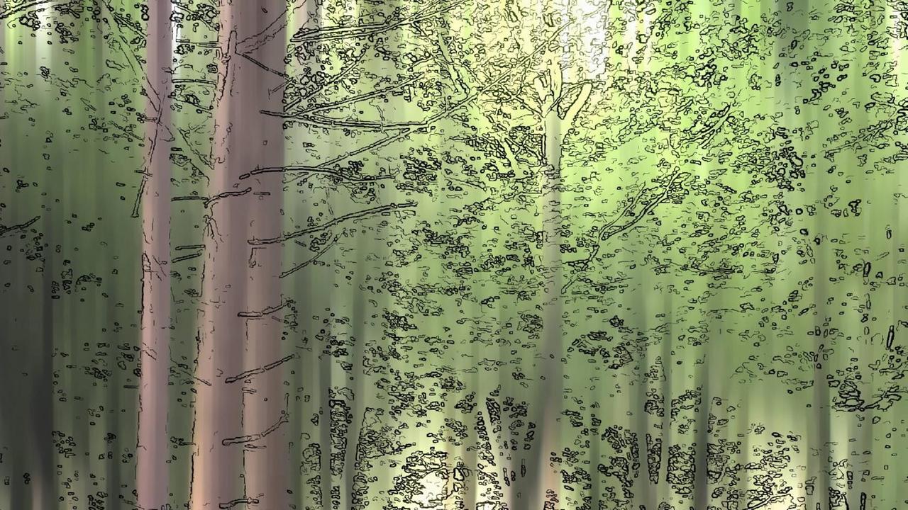 Illustration: Waldbäume im Sommer.