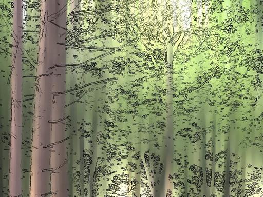 Illustration: Waldbäume im Sommer.