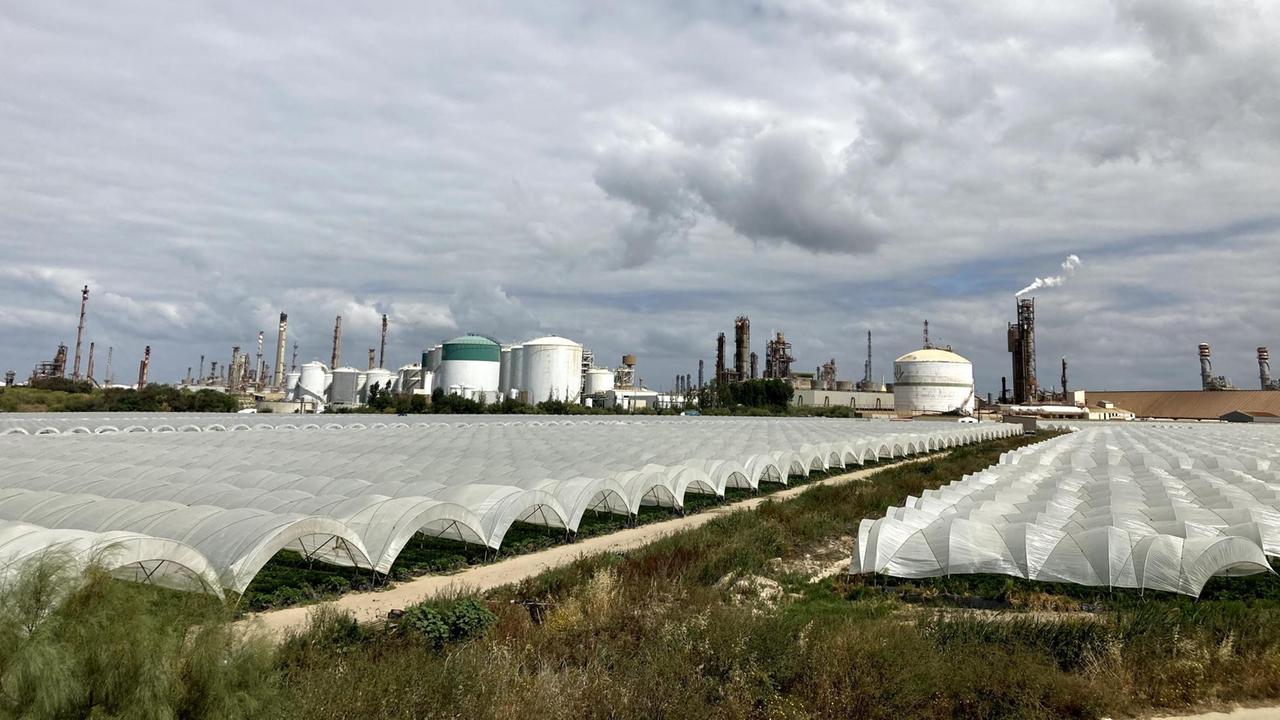 Im Vordergrund große mit weißen Planen bedeckte Erdbeerfelder, im Hintergrund große Industrieanlagen und Raffinerien. Im Vordergrund große mit weißen Planen bedeckte Erdbeerfelder, im Hintergrund große Industrieanlagen und Raffinerien.