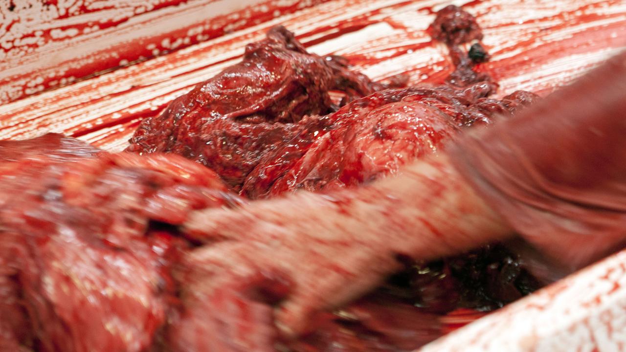 Aktion des Künstlers Hermann Nitsch während der Vernissage seiner Ausstellung " Sinne und Sein - Retrospektive" im Nitsch-Museum im Museumszentrum Mistelbach in Niederösterreich Aktion des Künstlers Hermann Nitsch während der Vernissage seiner Ausstellung " Sinne und Sein - Retrospektive" im Nitsch-Museum im Museumszentrum Mistelbach in Niederösterreich