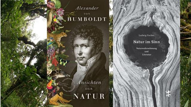 Zu sehen sind die beiden Buchcover "Ansichten der Natur" von Alexander von Humboldt und "Natur im Sinn. Naturwahrnehmung und Literatur" von Ludwig Fischer vor dem Hintergrund eines Urwaldes.