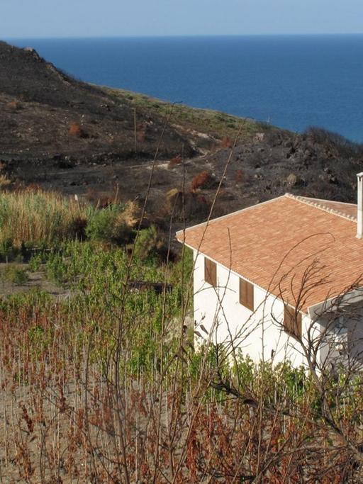 Abgebrannte Weinberge unweit des Städtchens Bosa an der Nordwestküste der Mittelmeer-Insel Sardinien. Aufnahme vom 09.09.2009