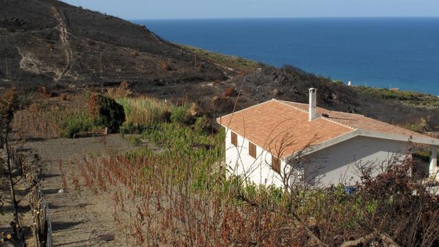 Abgebrannte Weinberge unweit des Städtchens Bosa an der Nordwestküste der Mittelmeer-Insel Sardinien. Aufnahme vom 09.09.2009