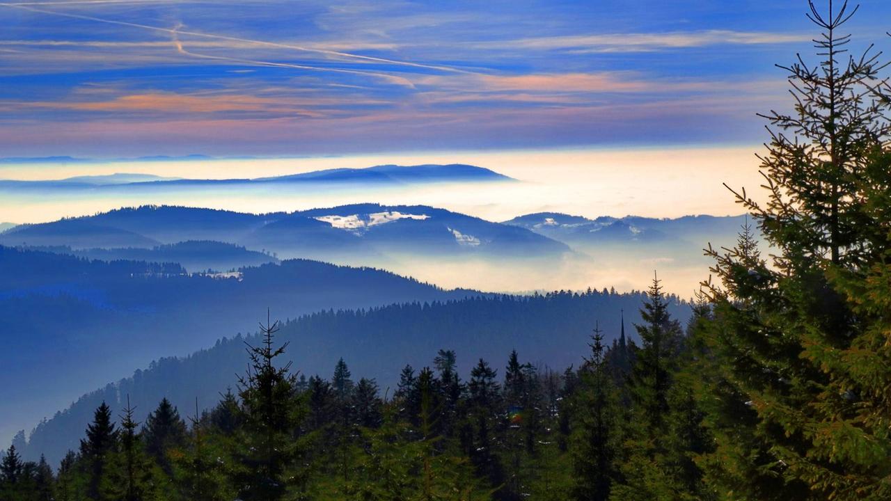 Blick über den Schwarzwald Blick über den Schwarzwald