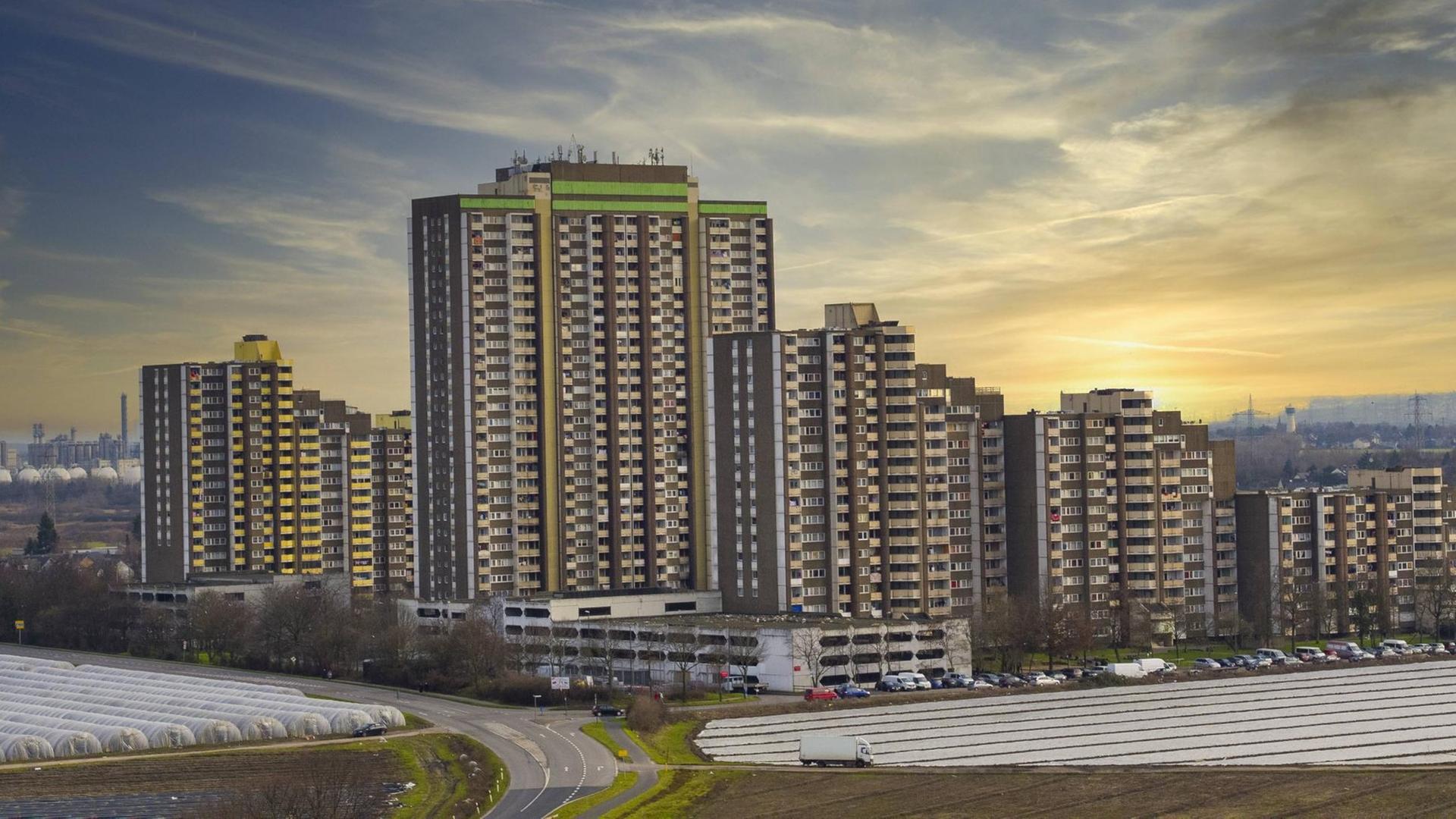 Hochhaus-Siedlung Am Kölnberg im Kölner Stadtteil Meschenich Hochhaus-Siedlung Am Kölnberg im Kölner Stadtteil Meschenich