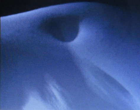 Liping Ting, Time's Spiral, Videostill der Live-Performance, Quebec, Canada, 2010 Liping Ting, Time's Spiral, Videostill der Live-Performance, Quebec, Canada, 2010