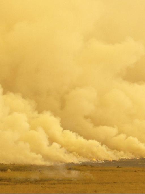 Feuer in der Savanne von Kenia