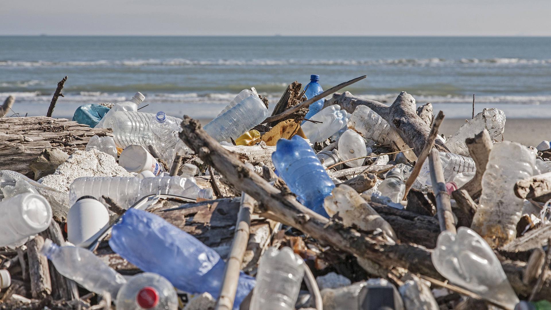 Angeschwemmter Plastikmüll an der Adriaküste. Angeschwemmter Plastikmüll an der Adriaküste.
