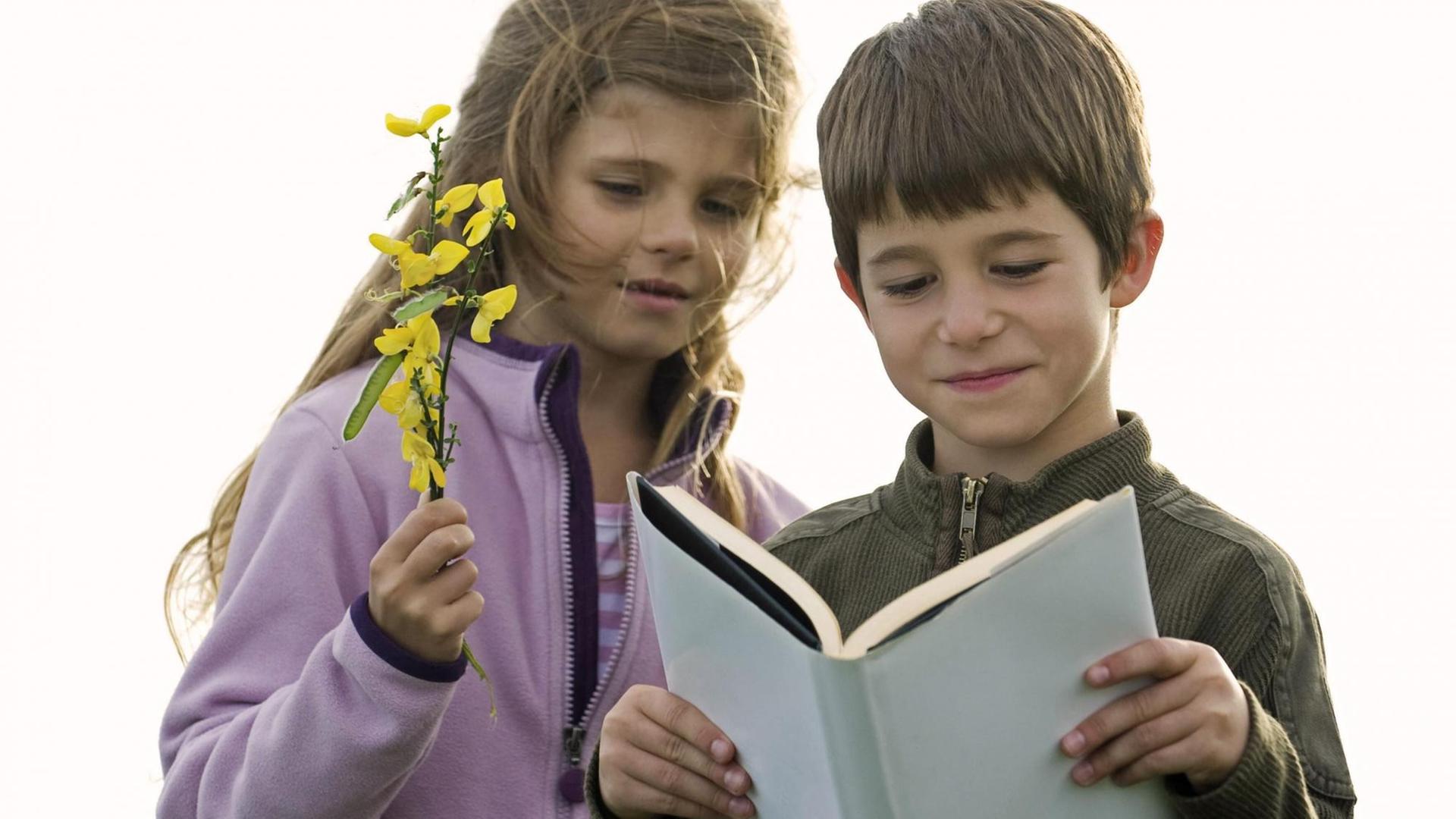 Ein Mädchen und ein Junge stehen auf einer Wiese und schauen in ein Buch Ein Mädchen und ein Junge stehen auf einer Wiese und schauen in ein Buch