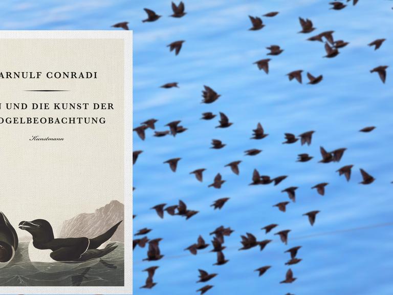 Im Vordergrund ist das Buchcover von "Zen und die Kunst der Vogelbeobachtung". Im Hintergrund ist ein Schwarm fliegender Vögel.