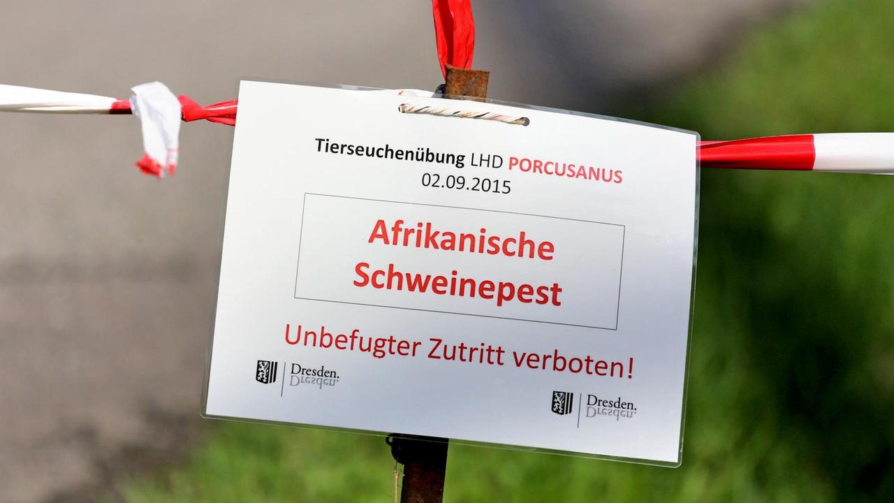 Ein Schild warnt während einer Übung im Kampf gegen die Afrikanische Schweinepest an einem Sperrbezirk in Dresden. Ein Schild warnt während einer Übung im Kampf gegen die Afrikanische Schweinepest an einem Sperrbezirk in Dresden.