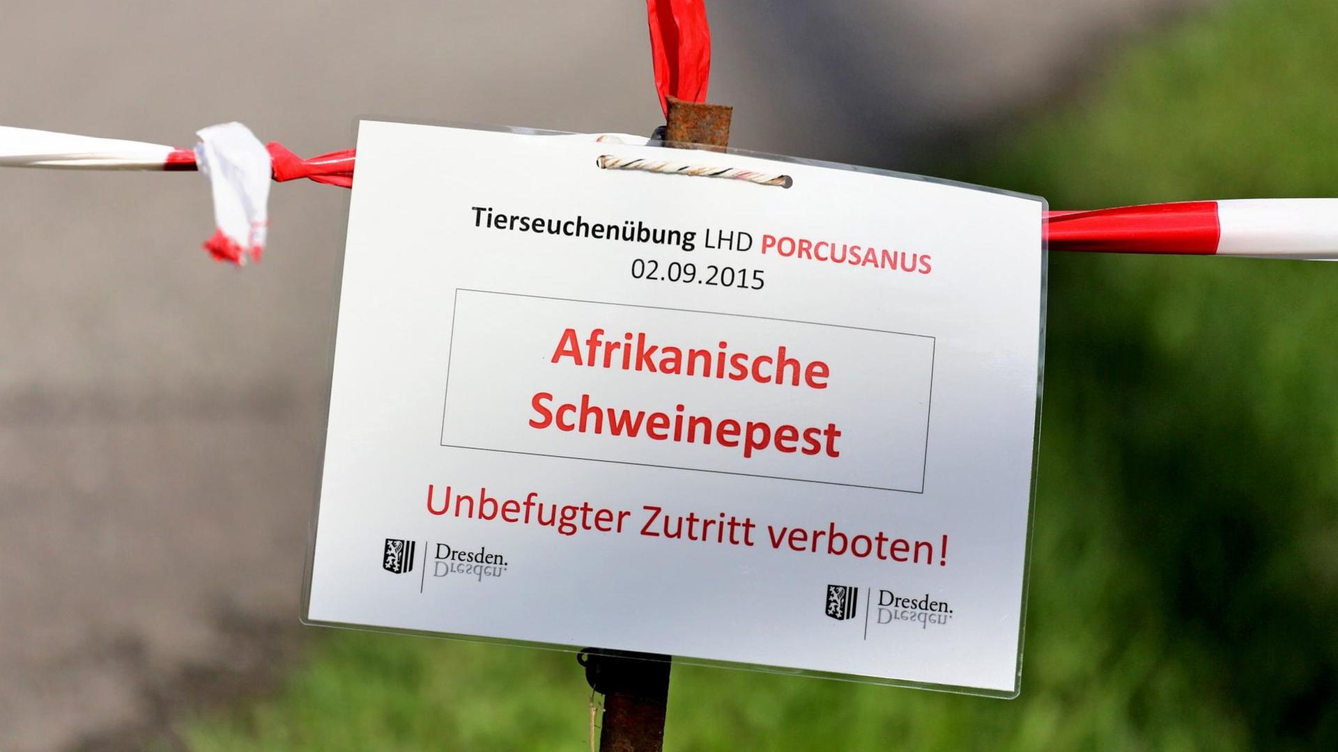 Ein Schild warnt während einer Übung im Kampf gegen die Afrikanische Schweinepest an einem Sperrbezirk in Dresden. Ein Schild warnt während einer Übung im Kampf gegen die Afrikanische Schweinepest an einem Sperrbezirk in Dresden.