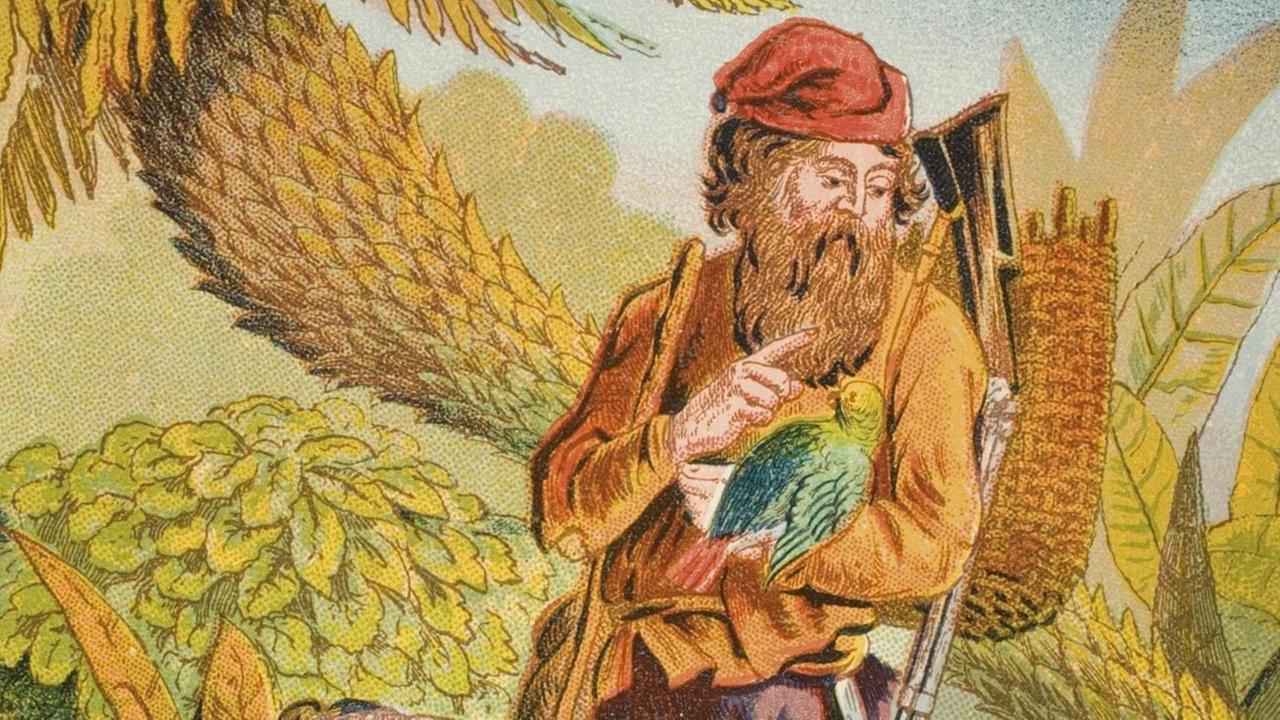 Robinson Crusoe steht am Rande des Dschungels und spricht zu einem Papagei. Robinson Crusoe steht am Rande des Dschungels und spricht zu einem Papagei.