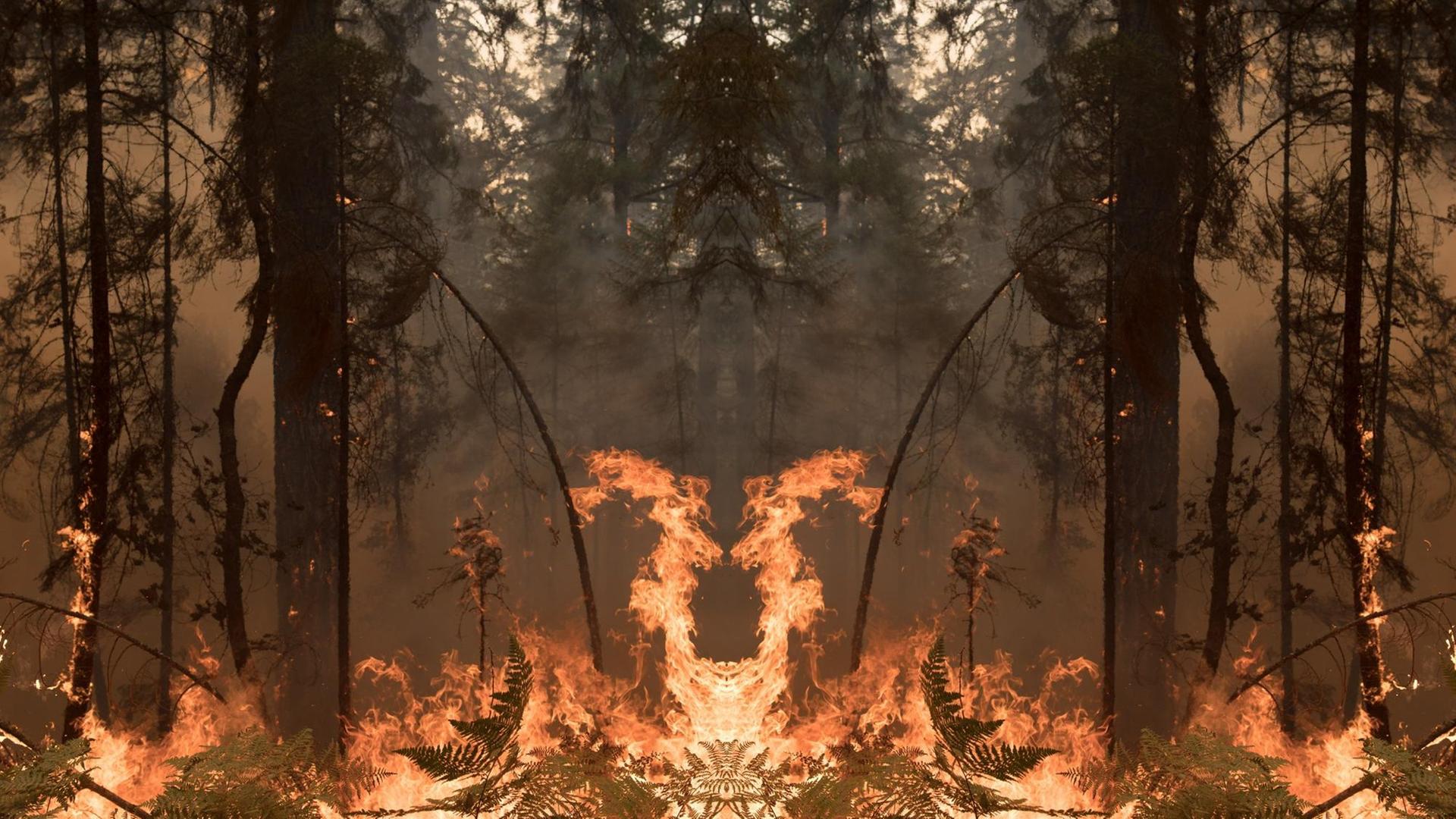 Die Aufnahme eines Waldbrandes, wobei das Bild in der Mitte einmal wie bei einem Kaleidoskop gespiegelt ist Die Aufnahme eines Waldbrandes, wobei das Bild in der Mitte einmal wie bei einem Kaleidoskop gespiegelt ist